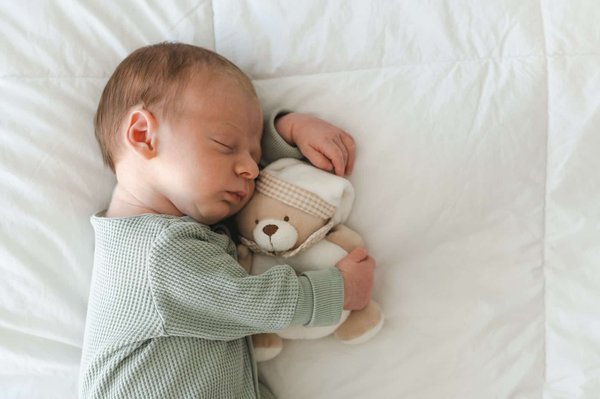 Quels facteurs prendre en compte pour sélectionner l'animal en peluche idéal ?